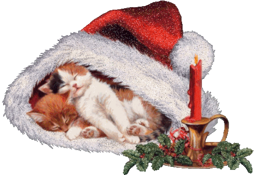 Jön A Mikulás Sleeping Kittens Christmas