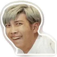 BTS Member Smiling Sticker