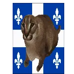 Cilicou Tactics Floppa Quebec Flag Meme