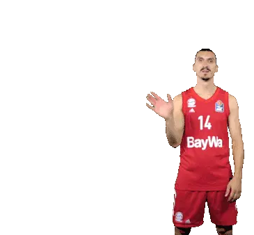 Hello Nihad Djedovic - Rekordspieler Waving