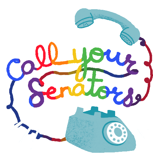Call Your Senators Rainbow Phone Activism Sticker