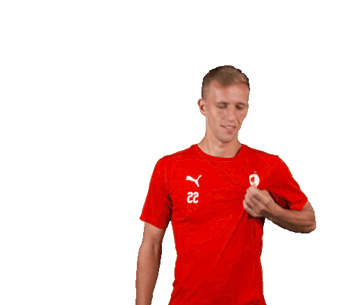 Sk Slavia Prague Footballer Souček Celebration