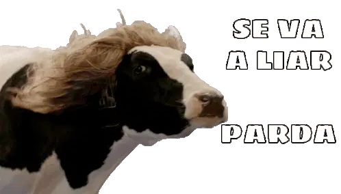 Vakalenta Cow: Se Va A Liar Parda Sticker