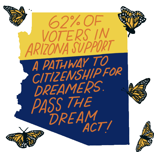 Arizona Voters Support Pathway to Citizenship for Dreamers