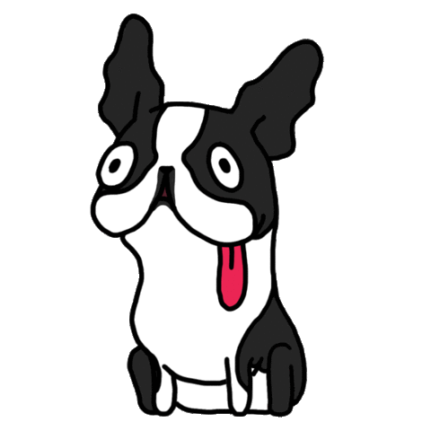 Cute Boston Terrier Dog Admiration Like It Sticker
