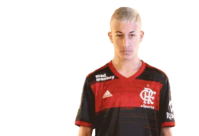 Fla Esports Flamengoesports Player Gesture Sticker