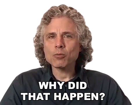 Steven Pinker: Why Did That Happen?