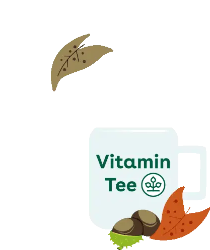 Vitamin Tea Mug with Autumn Leaves & Chestnuts