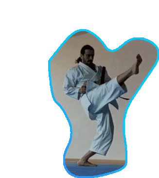 Maegeri Front Kick Sticker