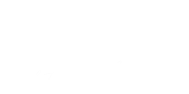 Lele Machado Transparent Sticker
