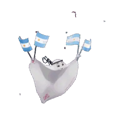 Argentina Sticker