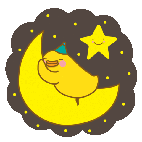 Sleeping Duck on Moon with Star - Friday Night