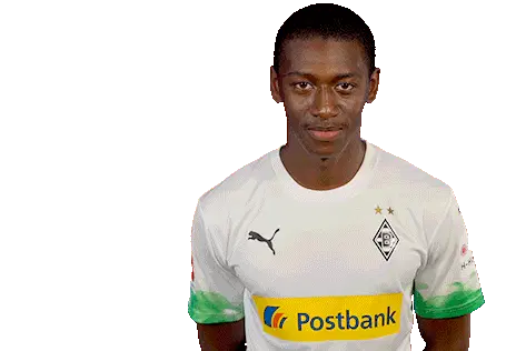 Borussia Mönchengladbach Sticker
