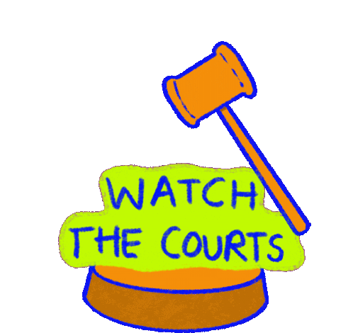 Protect The Vote, Watch The Courts Sticker