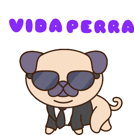 Frank The Pug: Vida Perra con Gafas de Sol