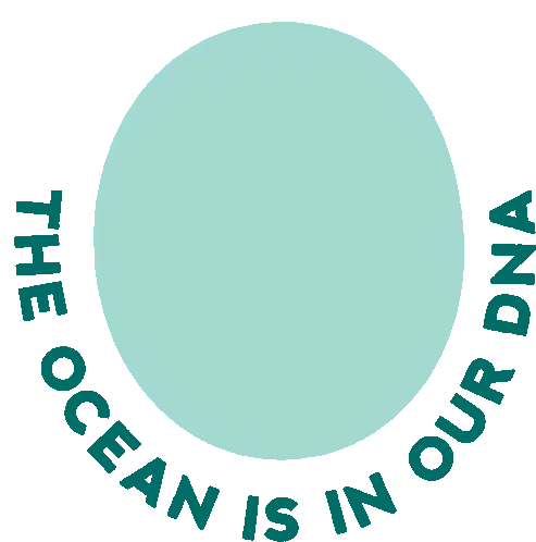 The Ocean Is In Our DNA - World Ocean Day Sticker