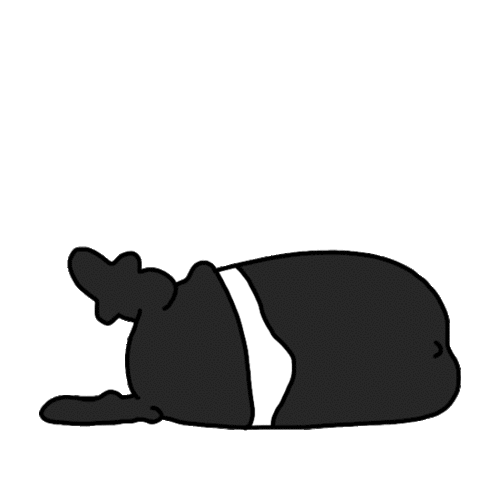 Lazy Panda Lying Down - Don't Care