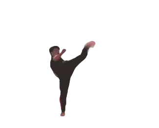 Fast High Kick Martial Arts Training Sticker