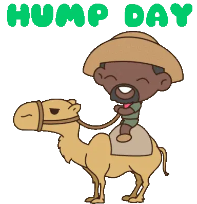 Hump Day Cartoon Man Riding Camel