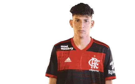 Fla Esports Flamengoesports Player REEI Thumbs Down