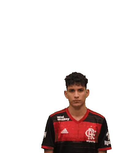 Fla Esports Flamengoesports X Gesture Sticker