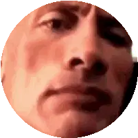 The Rock Confused Face Sticker
