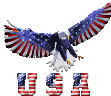 Eagle Usa Sticker