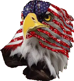 America Eagle Sticker