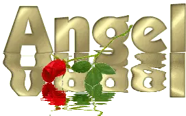 Angel with Red Rose Reflection