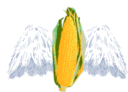 New Corn Order Corn Angel Sticker