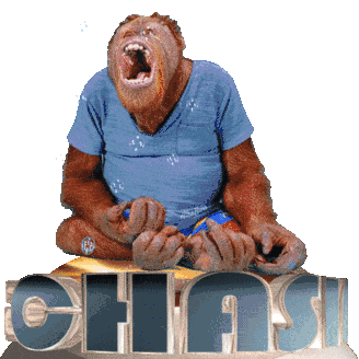 Funny Orangutan Chasing a Feeling Animated Sticker