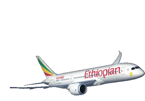 Ethiopianairlines Travel Sticker