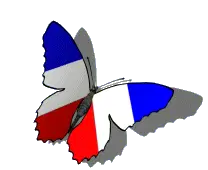 Francais Butterfly Sticker