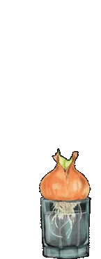 Craft Cartoons Onion Sticker
