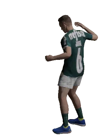Festa Jorge Palmeiras Gol Celebração