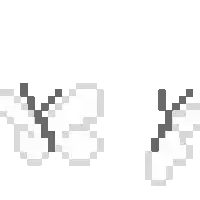 Asset