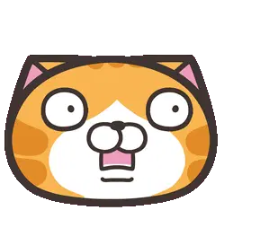 Mochidad Cat Surprised