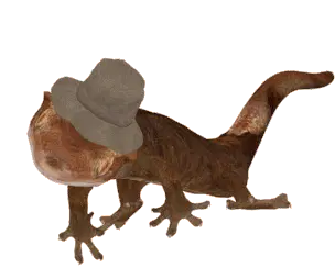 Jorge Calango: Lizard in a Hat Sticker