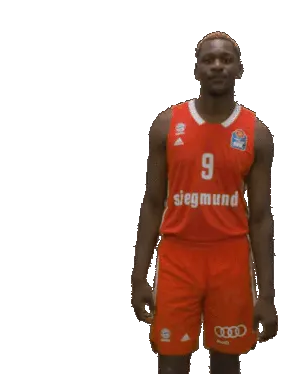 Hi Nba Sticker