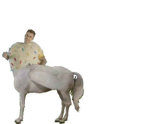 Justin Bieber Cupcake Pegasus Flying