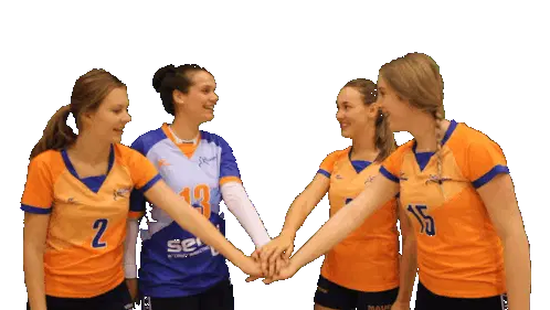Voleibol Jugadoras Celebrando Sticker