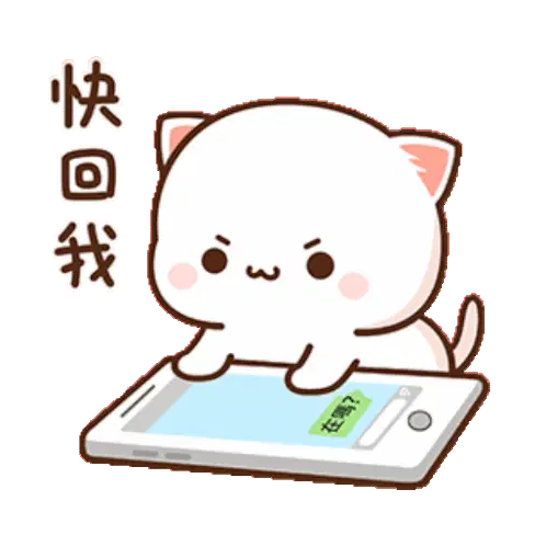 Mochi Cat Eagerly Waiting for Reply