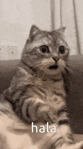GIF caricata da Zie