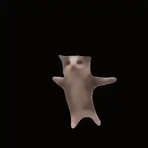 Happy Dancing Cat Meme