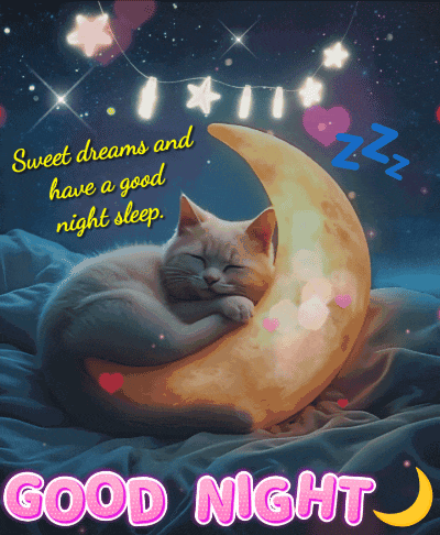 Good Night Sweet Dreams Cat