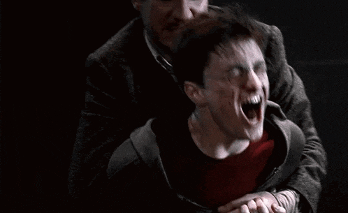 Harry Potter Screaming in Pain
