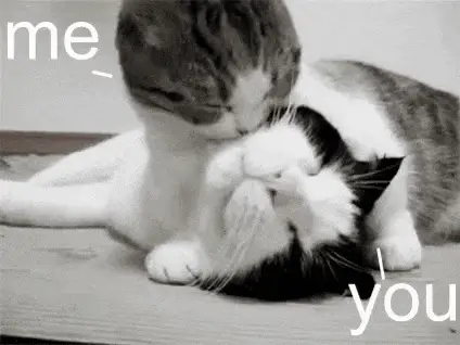 attachment