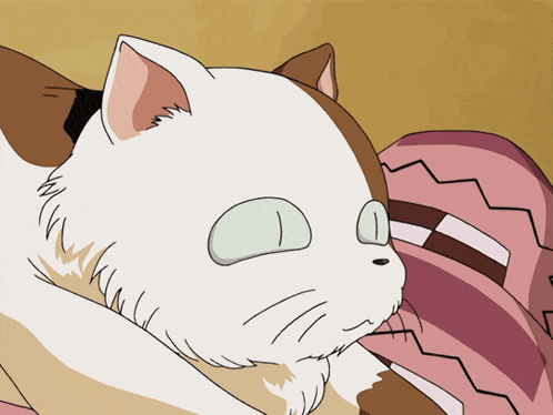 Inuyasha Cat Yawning Adorably