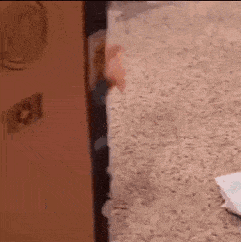 Cute Baby Peeking and Smiling