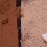 GIF បង្ហោះដោយ Nihar